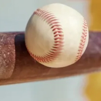 Maestría en Entrenamiento Deportivo en Béisbol Maestría en Entrenamiento Deportivo en Béisbol
