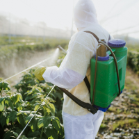 Maestría en Ingeniería Industrial con Especialidad en Dirección de proyectos ambientales (Presencial)
